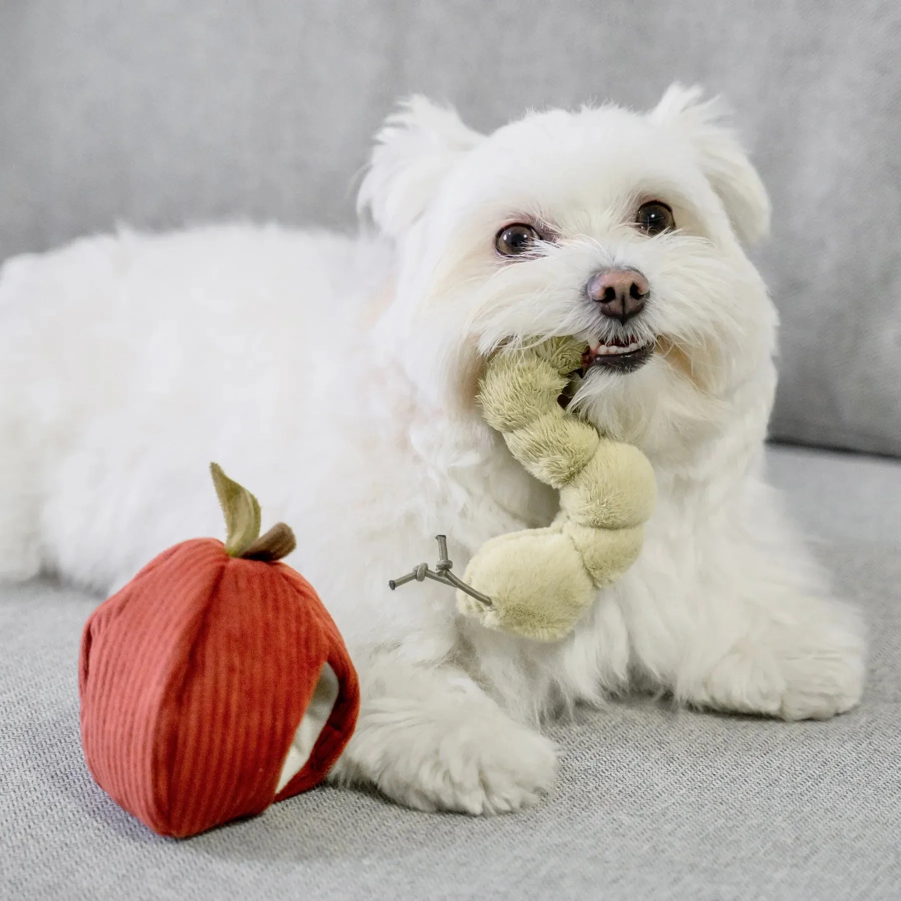 Lambwolf APPLE and CATERPILLAR with Crinkly and Burrow