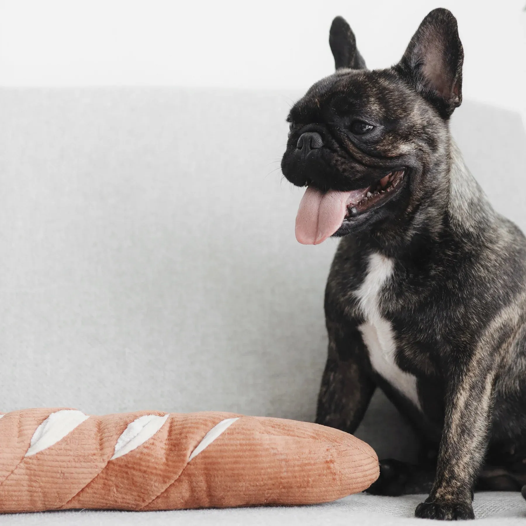 Lambwolf BAGUETTE with Enrichment Pockets and Squeaky