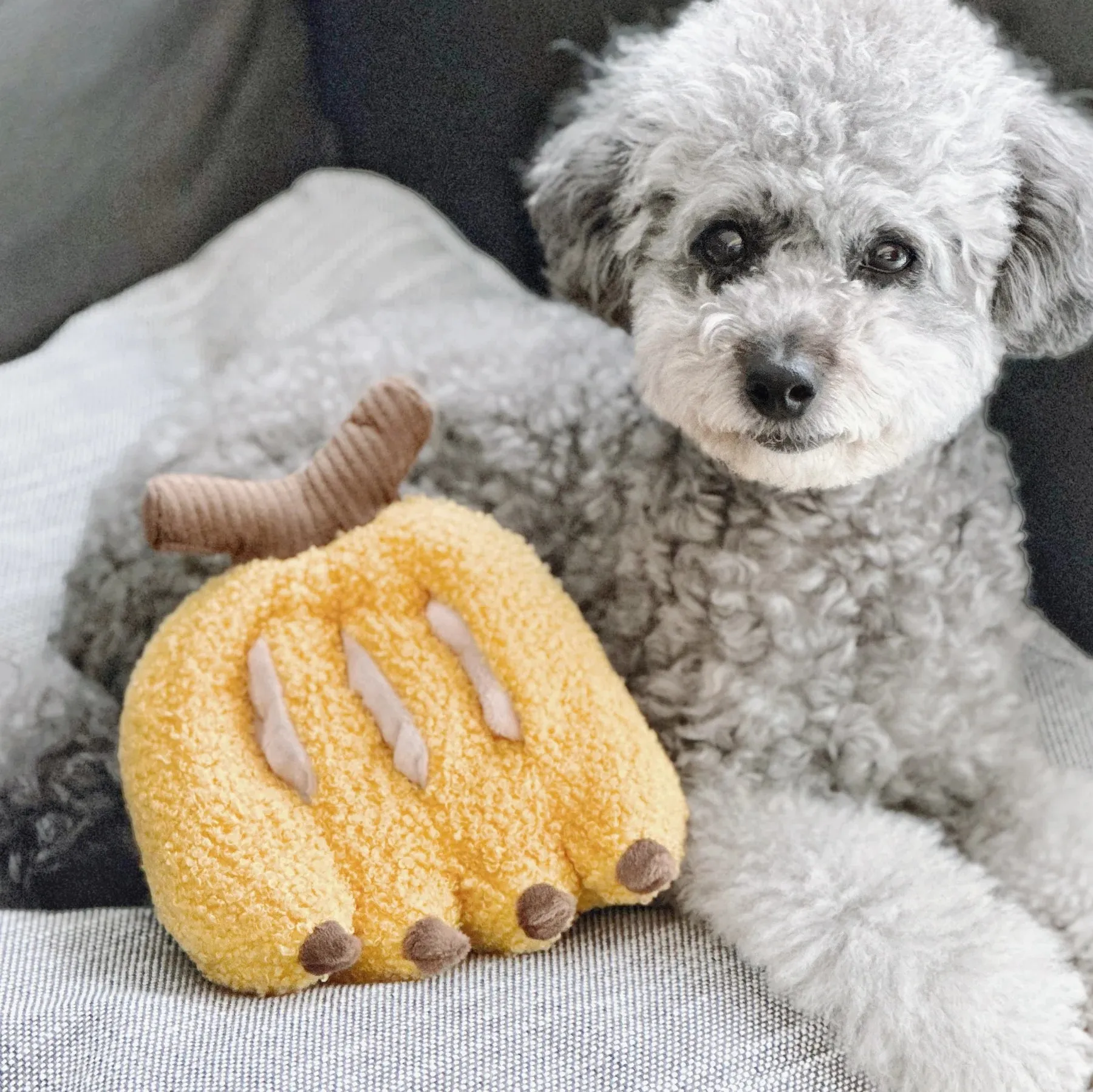 Lambwolf BANANA with Squeaky and Snuffle