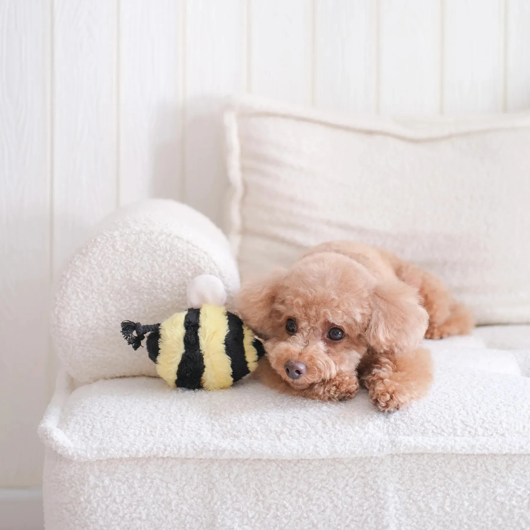 Lambwolf BEE POP with Bouncy and Snuffle