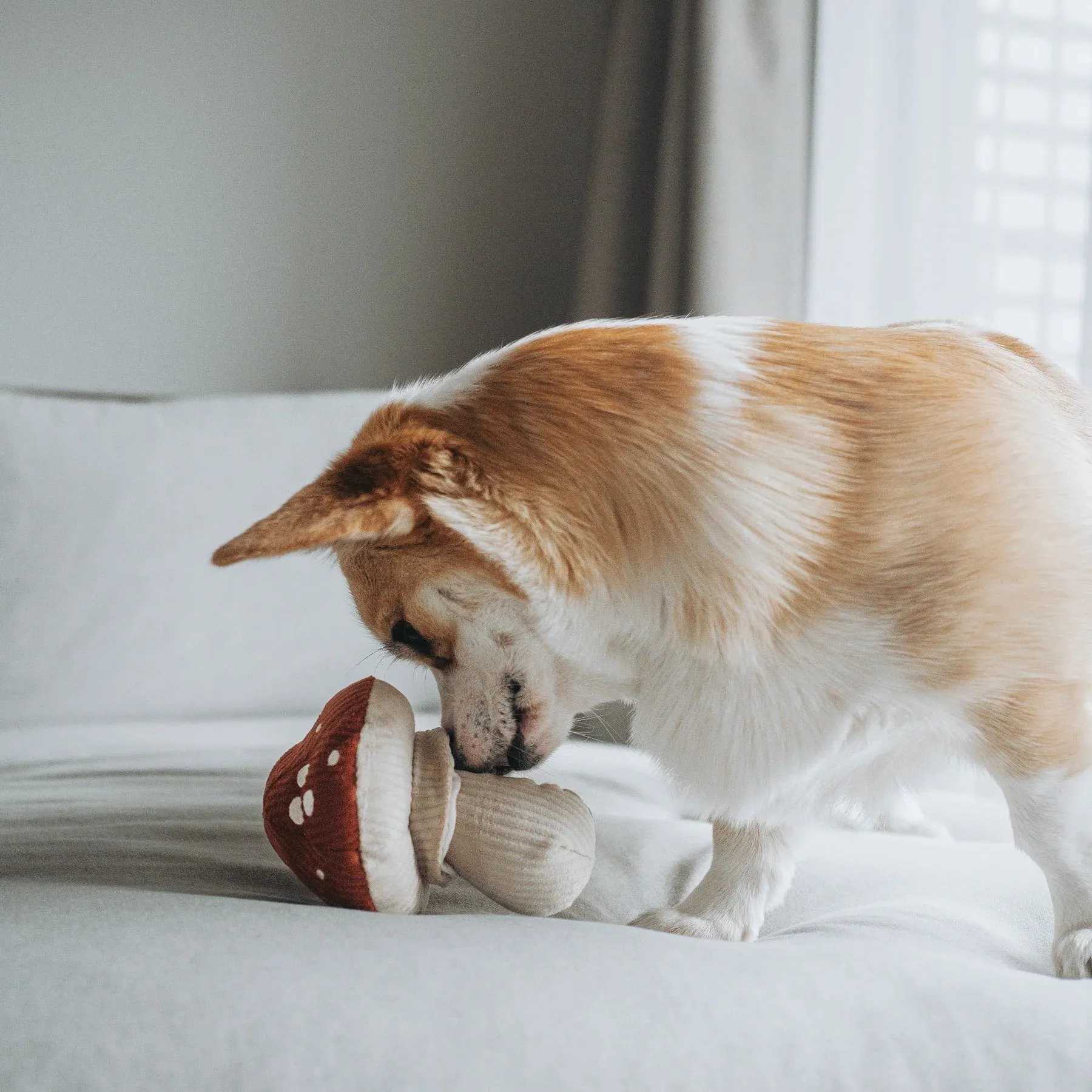 Lambwolf SHROOM Snuffle Mushroom