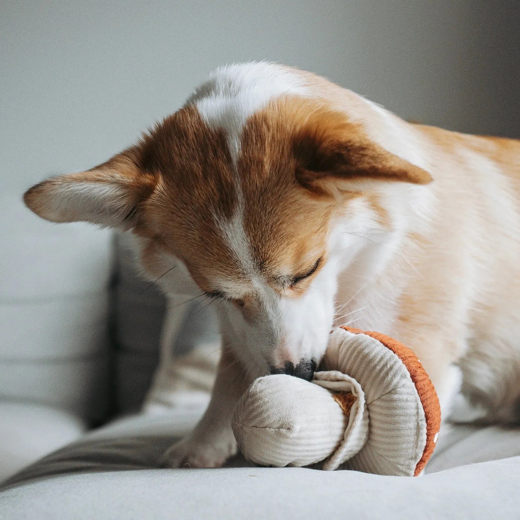 Lambwolf SHROOM Snuffle Mushroom