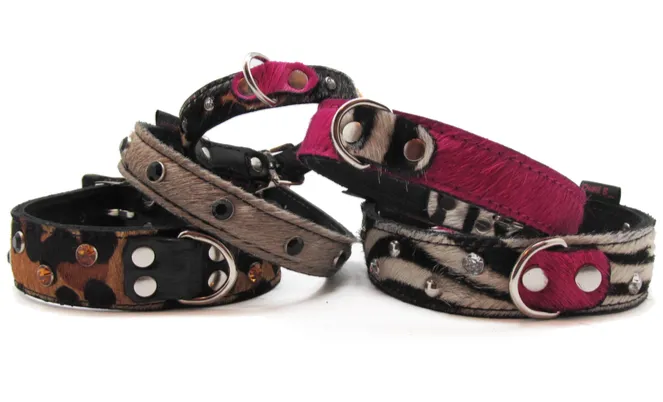 Medium Pet Collar