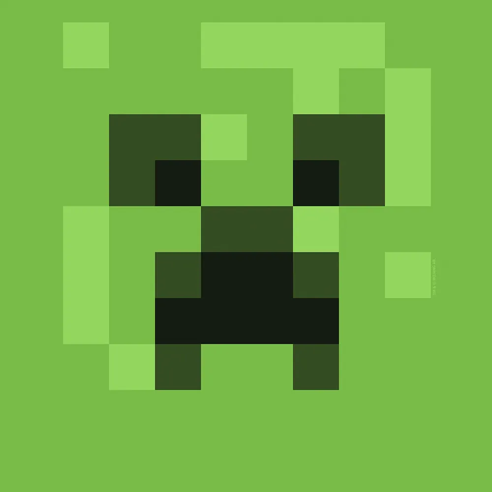 Minecraft Creeper Big Face Pet Bed