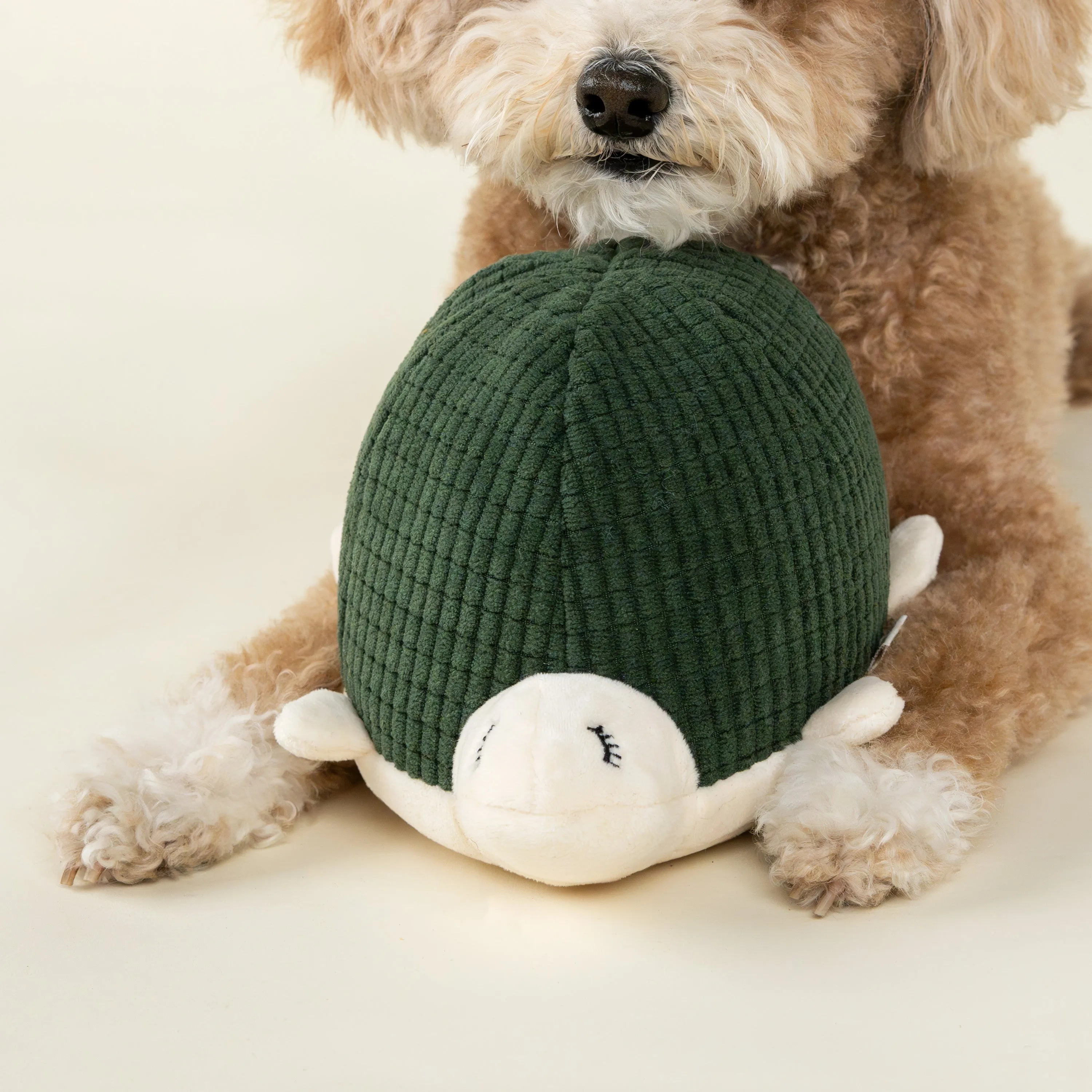 Mossy Turtle Dog Toy