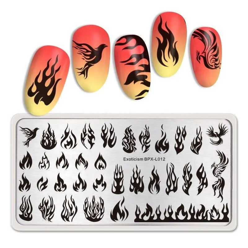 Nail Art Stamping Plates Born Pretty