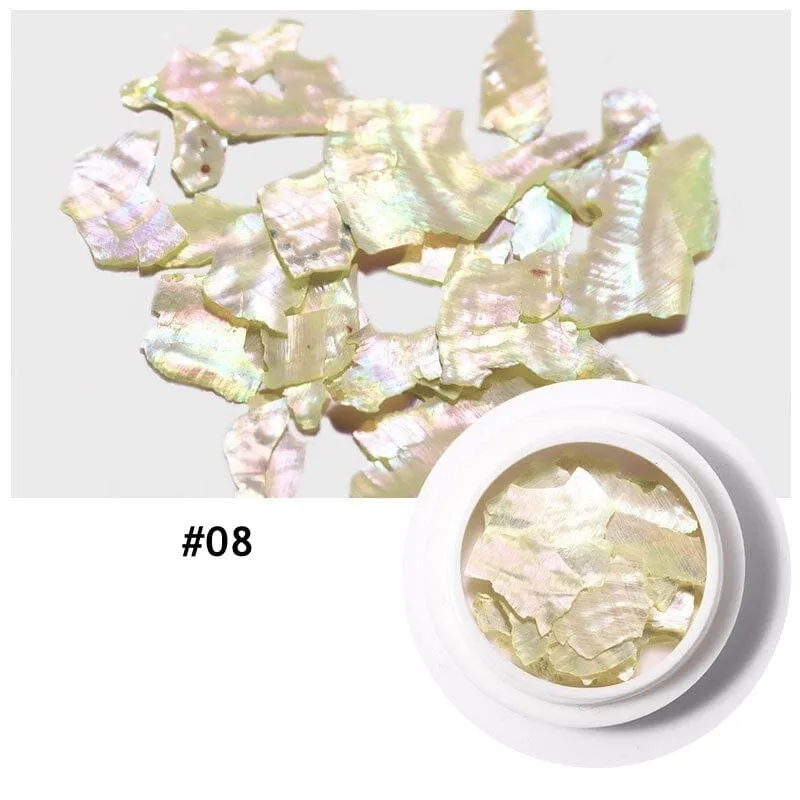 Natural Shell Slices Nail Art Decoration Jar