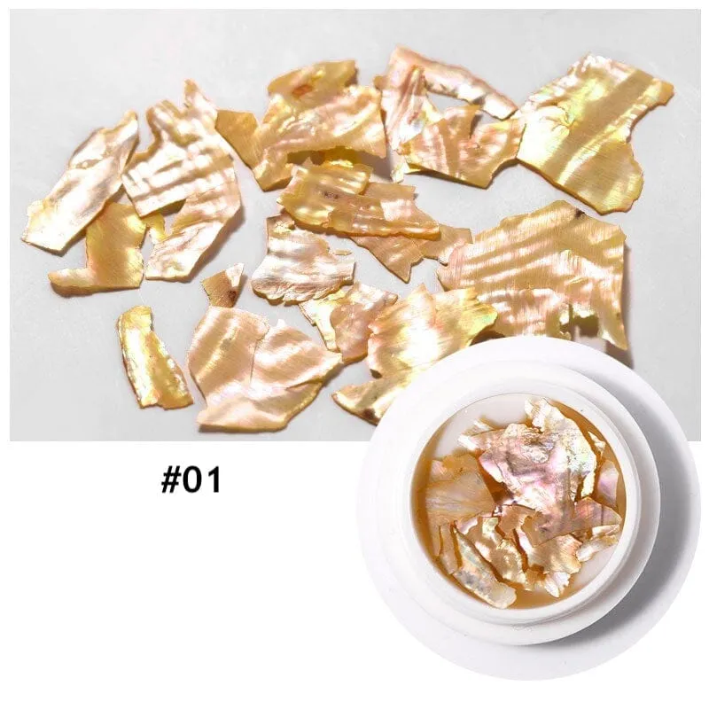 Natural Shell Slices Nail Art Decoration Jar