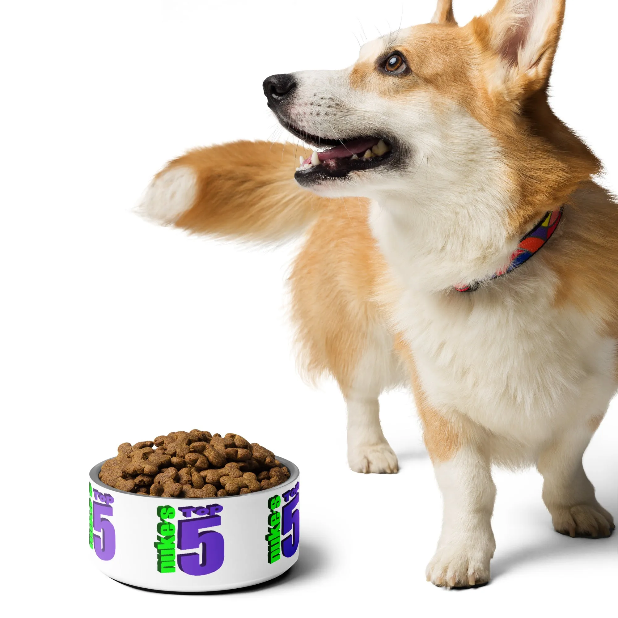 Nuke's Top 5 Pet Bowl