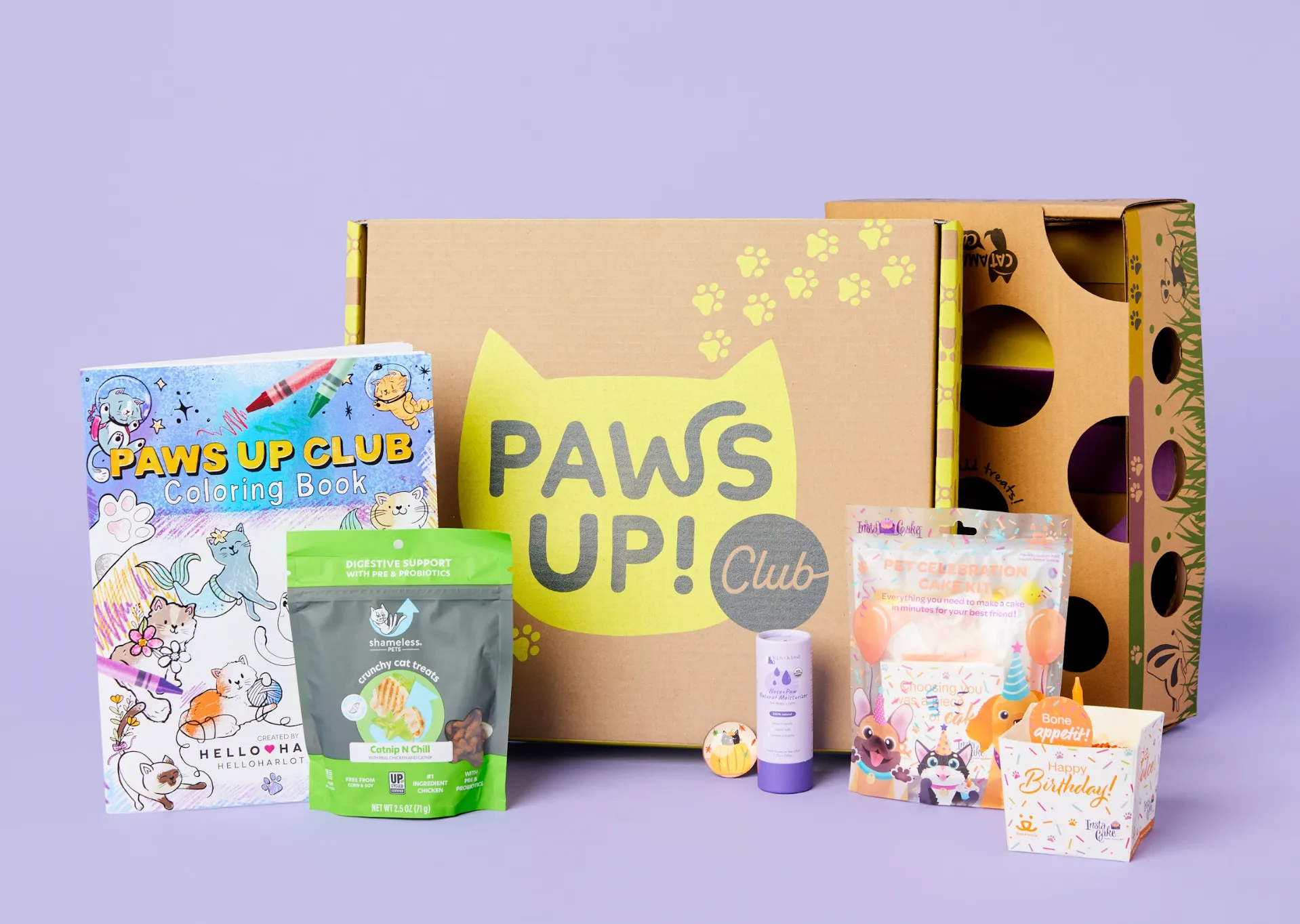 Paws Up Club Box - Out of This World Curation