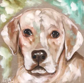 Pet portrait - commissioned - 60 x60 cm