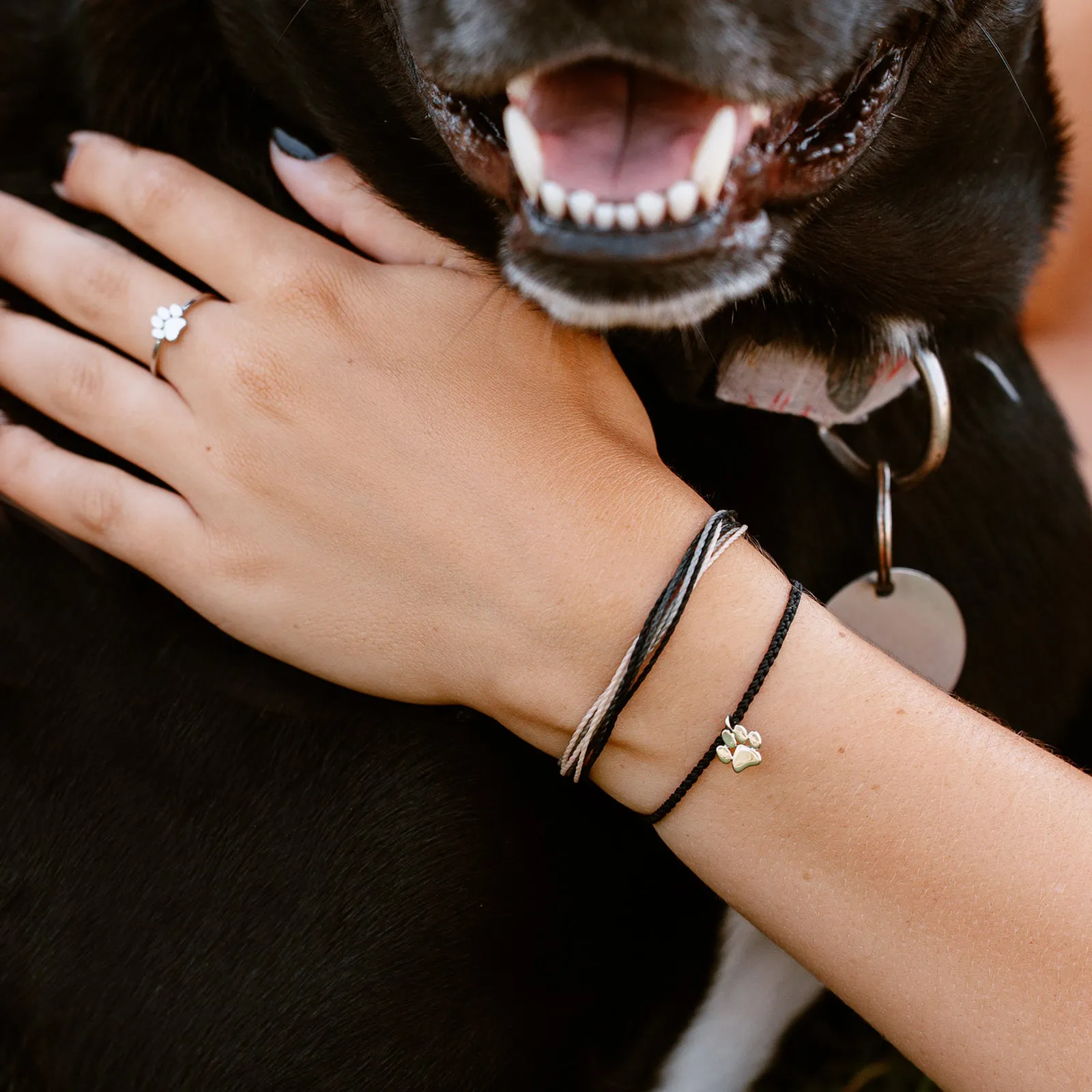 Pet Rescue Bracelet