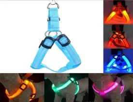 PETLAVISH™ Small Dog LED Glow USB Dog Harness: Adjustable, Safe Control Vest S-XL