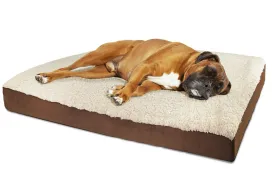 PETLAVISH™ XL Orthopedic Memory Foam Dog/Cat Bed - Soft Calming Lounger Mat