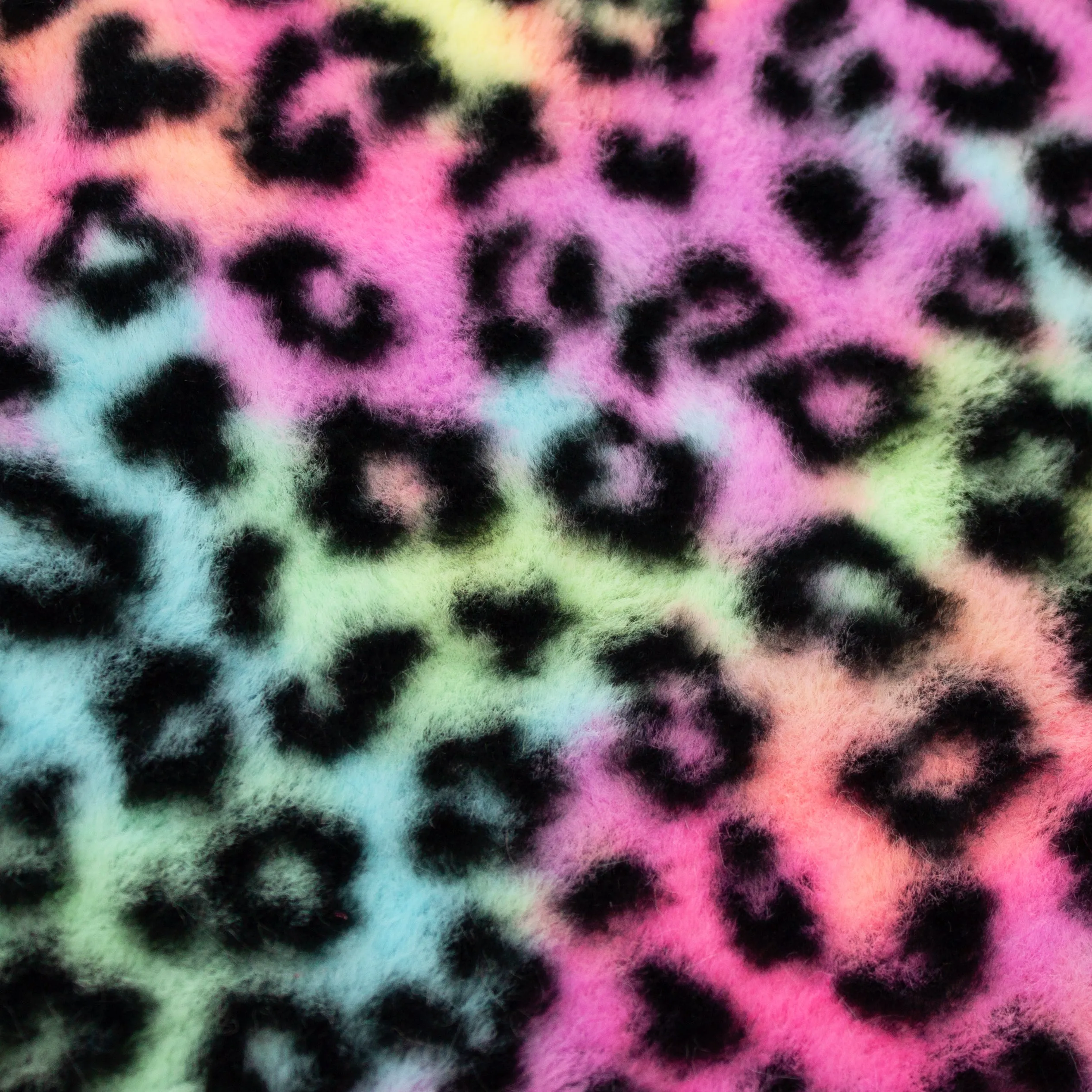 Rainbow Leopard Snuggle