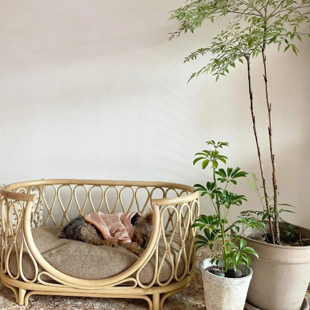 Rattan Pet Bed