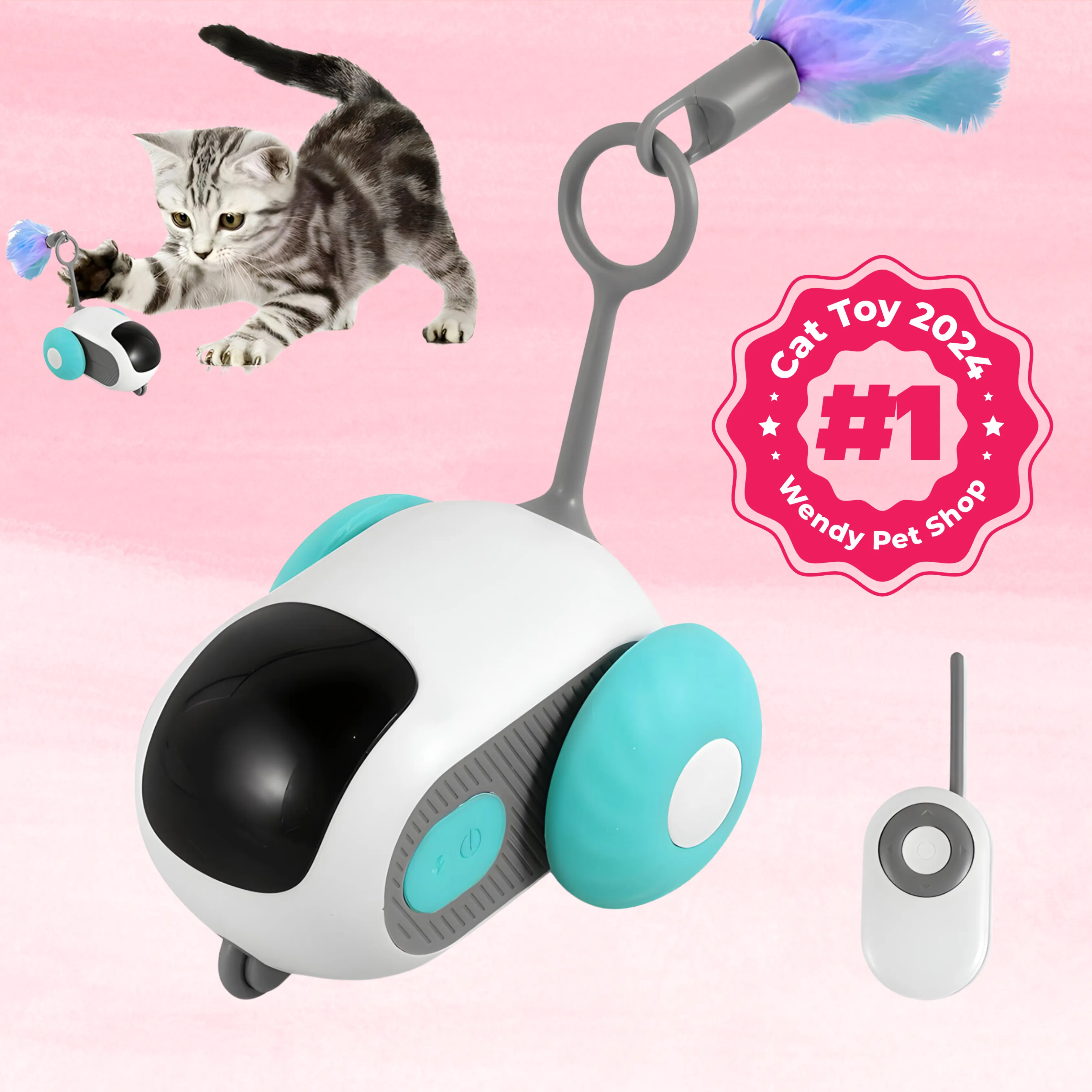 remote control cat toy