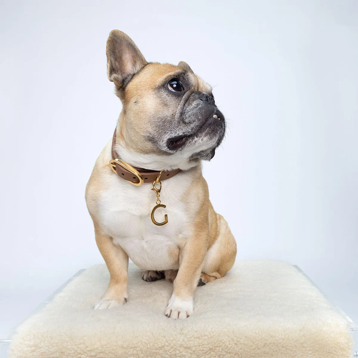 Reversible Pet Collar | Pebbled