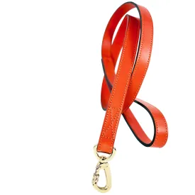 Royal Dog Leash in Tangerine & Gold