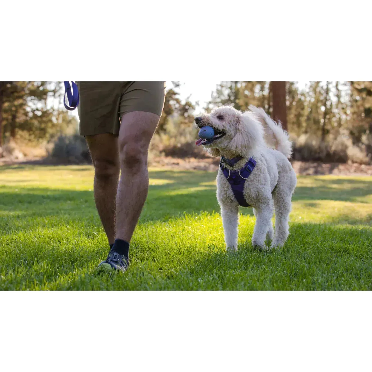 Ruffwear Turnup Dog Toy - Heliotrope Purple