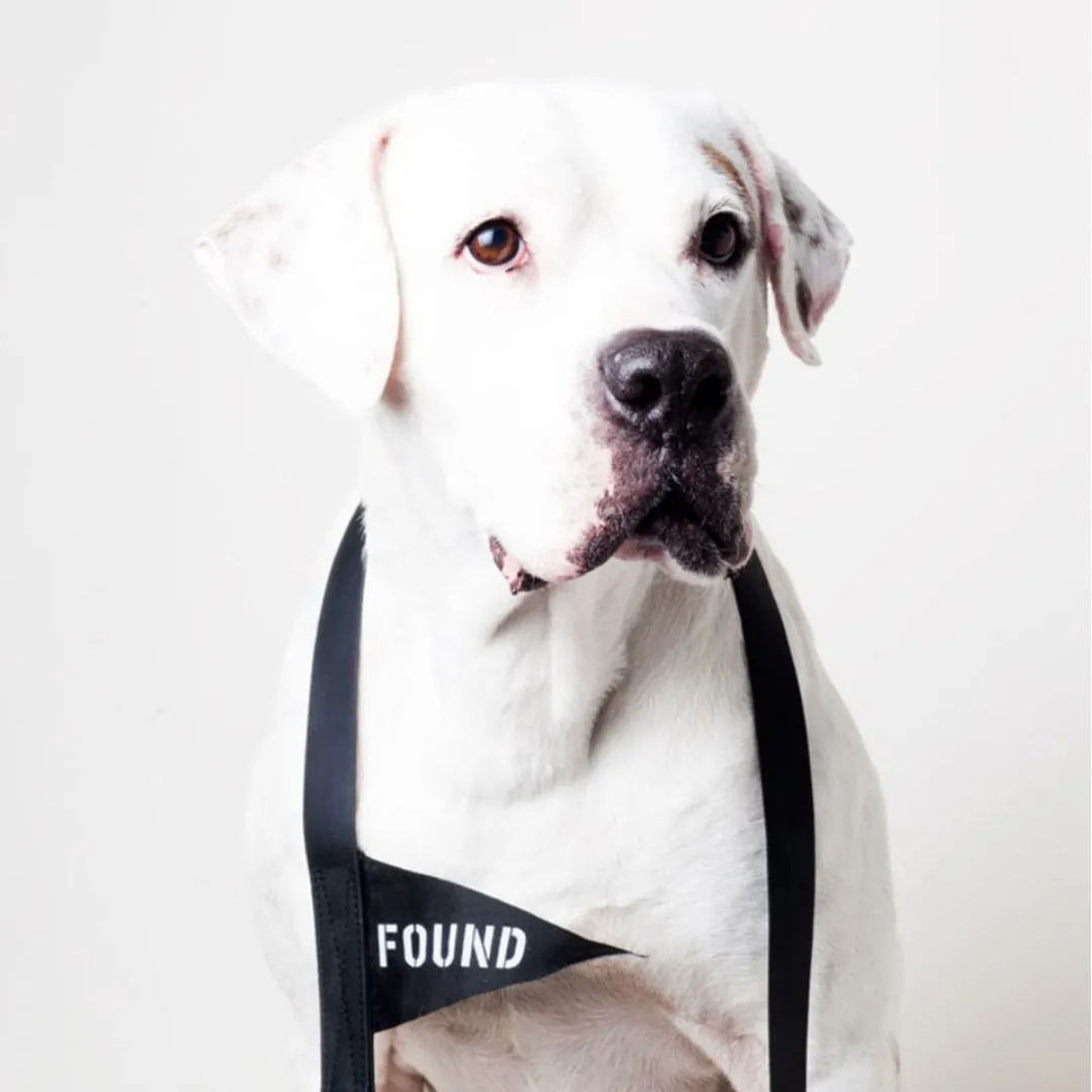 SOCIAL GOOD DOG LEASH BY FOUND MY ANIMAL