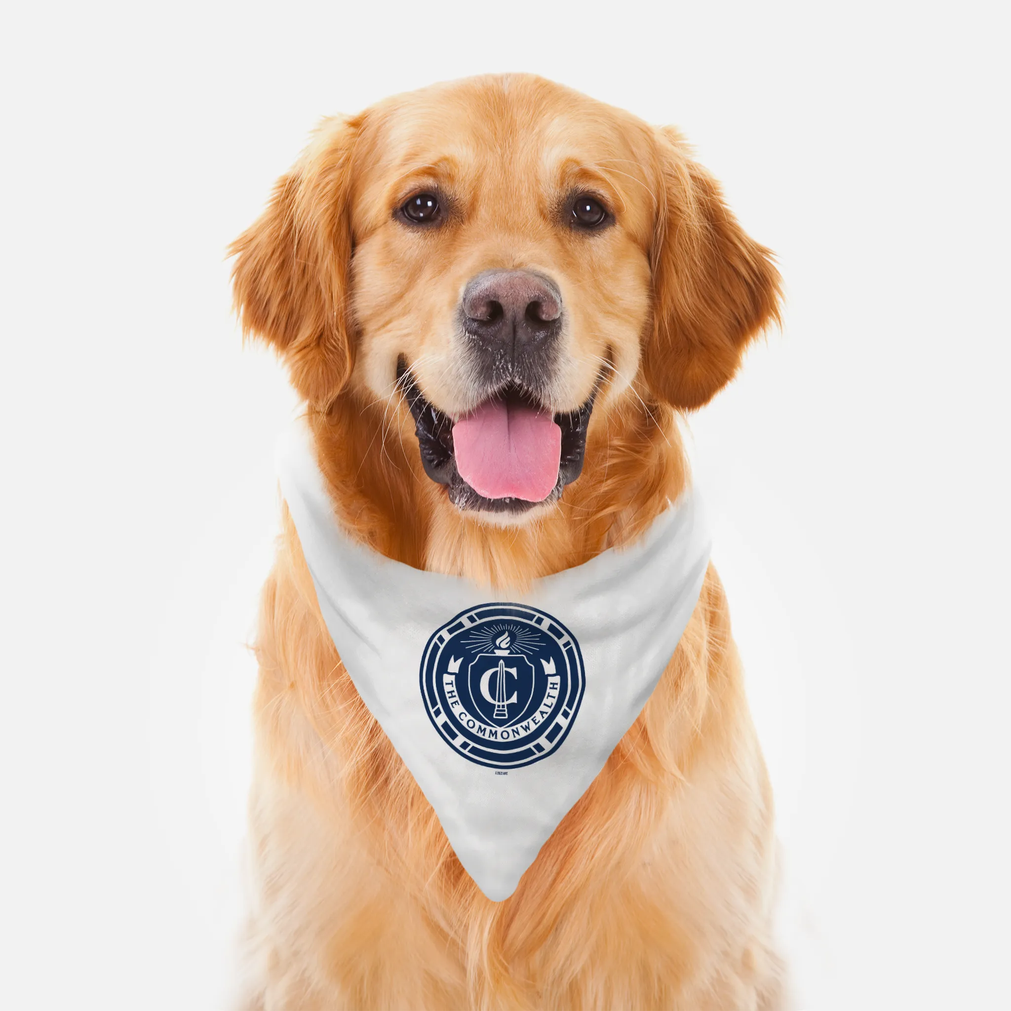 The Walking Dead Commonwealth Seal Pet Bandana