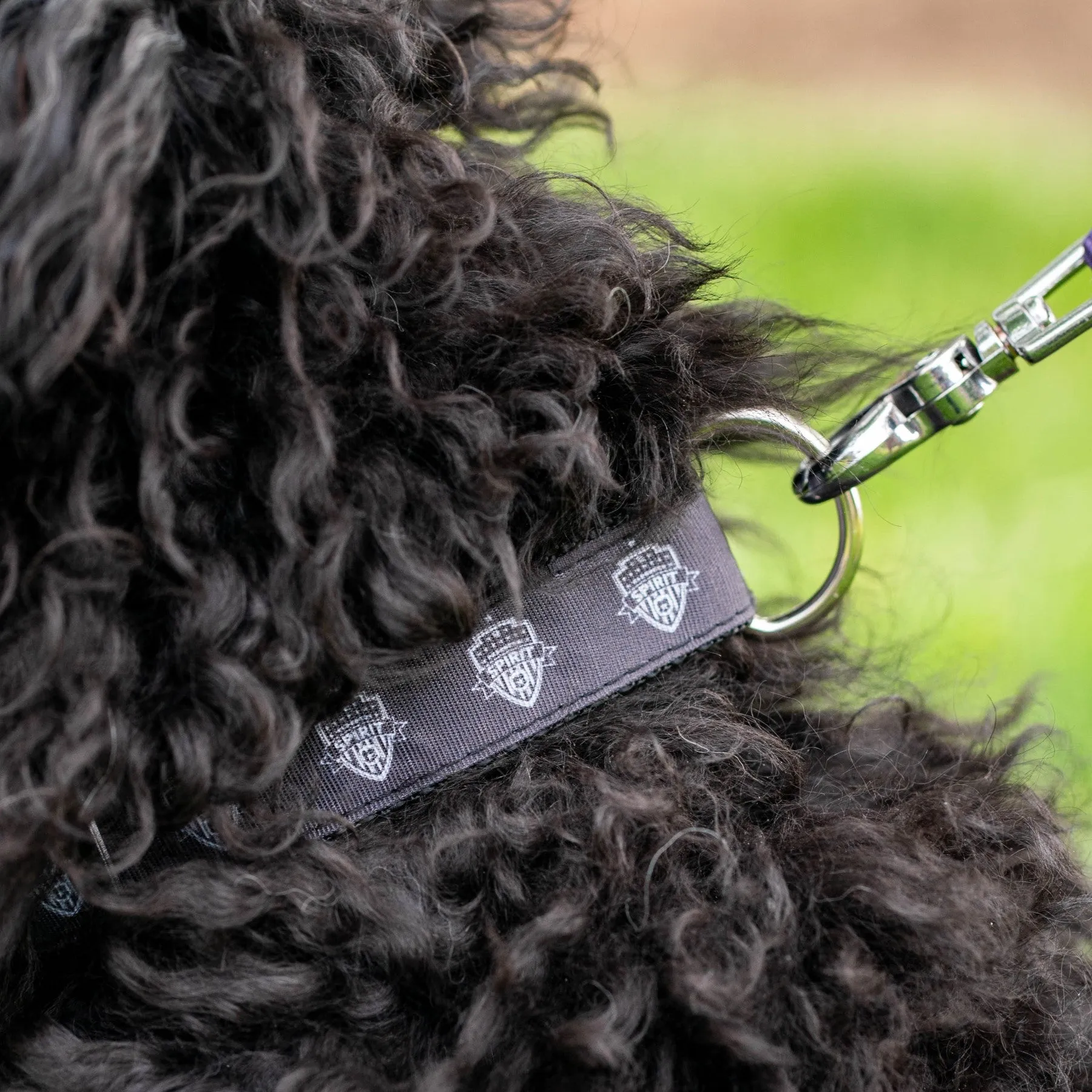 Washington Spirit Pets Collection - Dog Leash