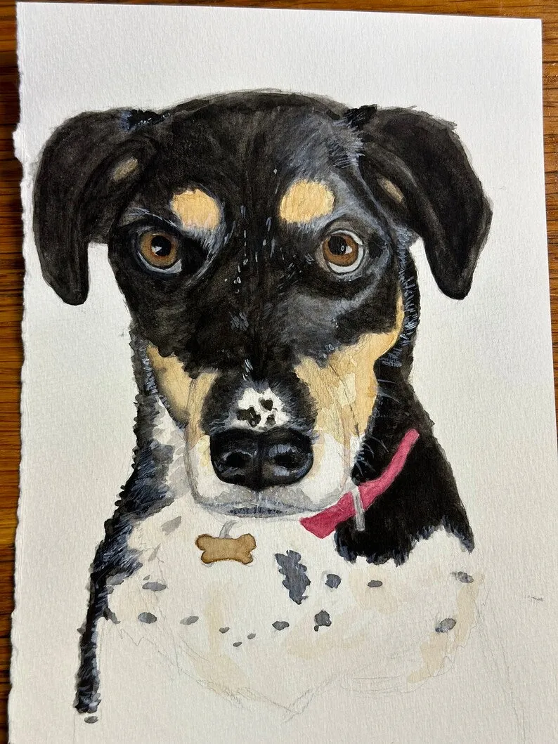 Watercolor Pet Portraits